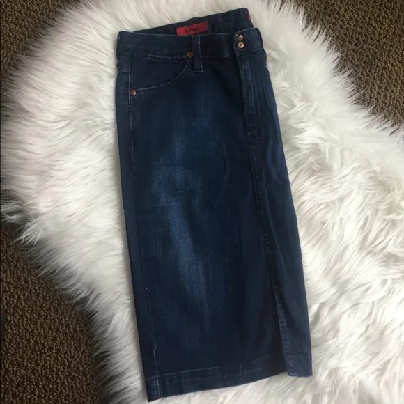 Adriano Goldschmied &quot; the Precise&quot; Skirt