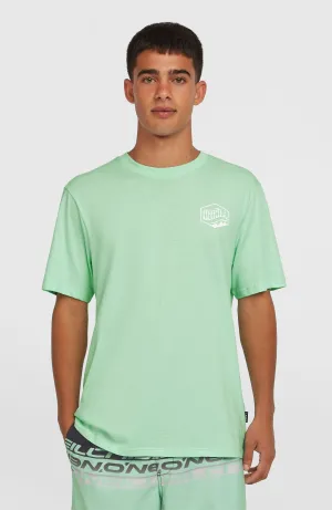 Box Logo T-Shirt | Mildrew Mint