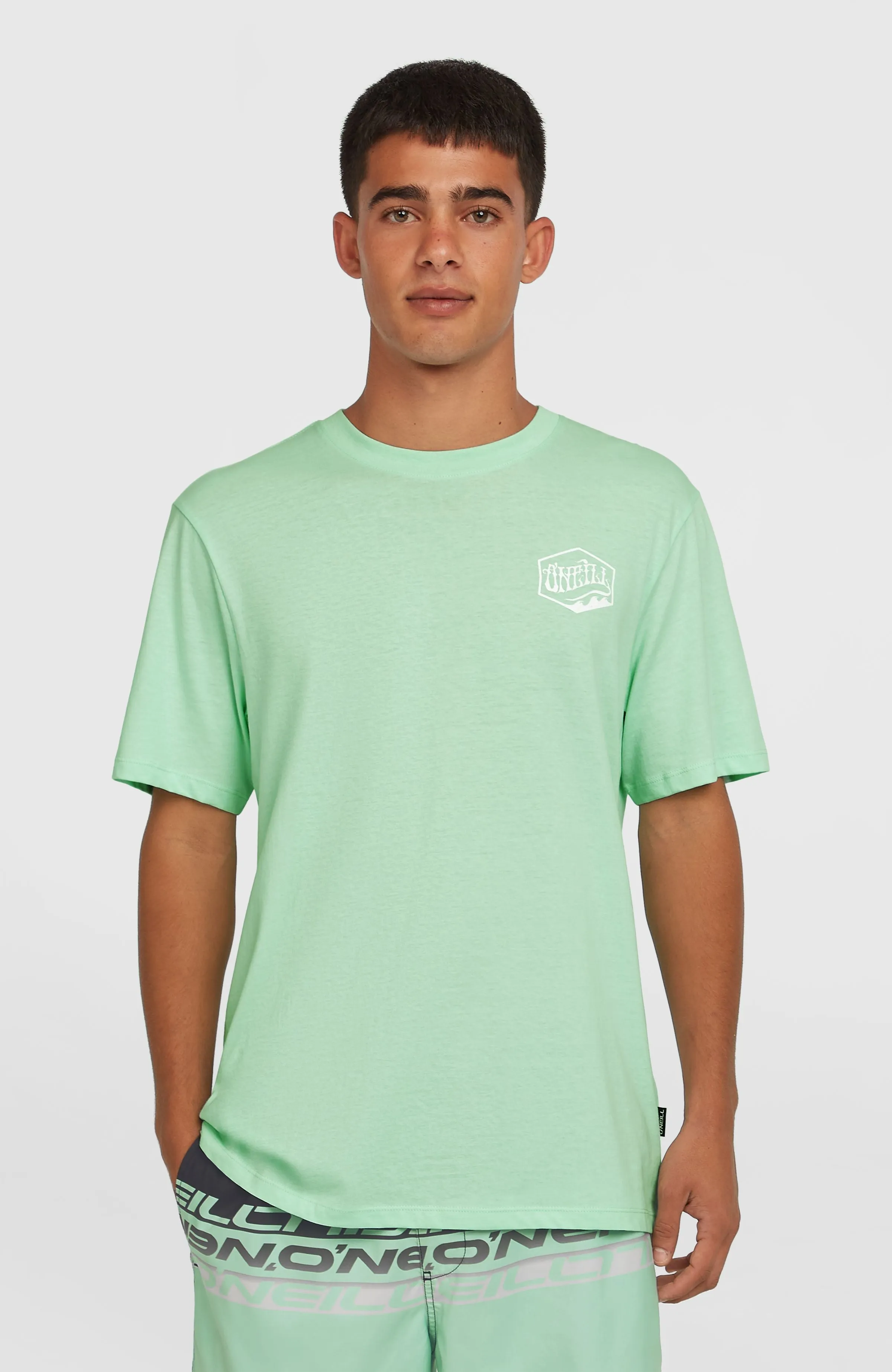 Box Logo T-Shirt | Mildrew Mint