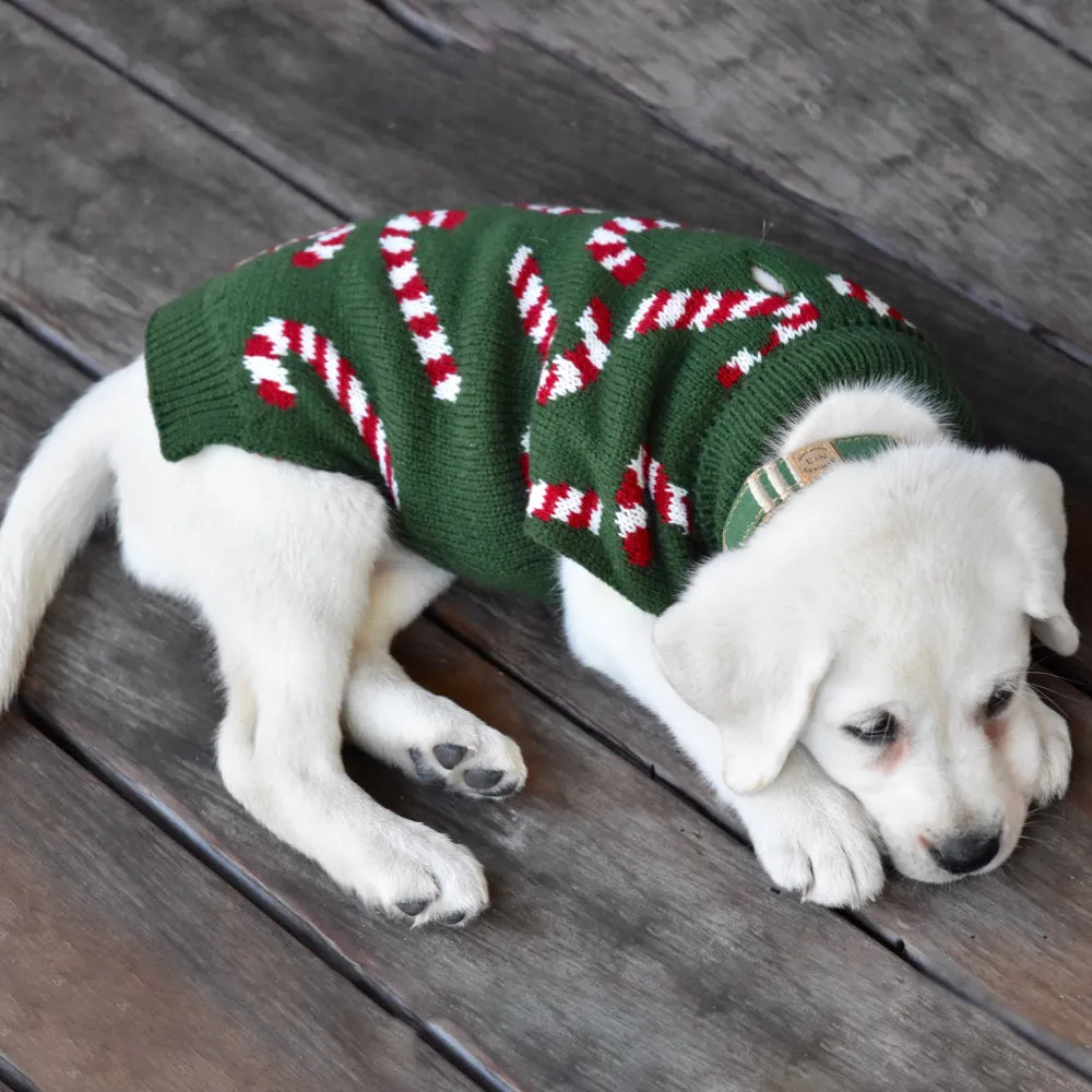 Candy Cane Dreams Holiday Dog Sweater