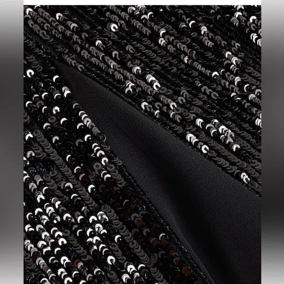 Express High waisted Sequin skirt pleated