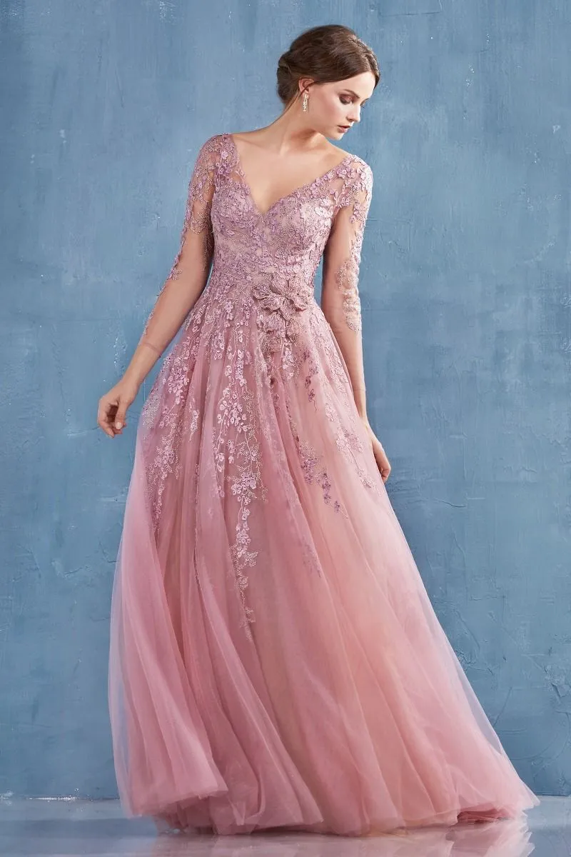 Long Sleeve A-Line Zoe Gown