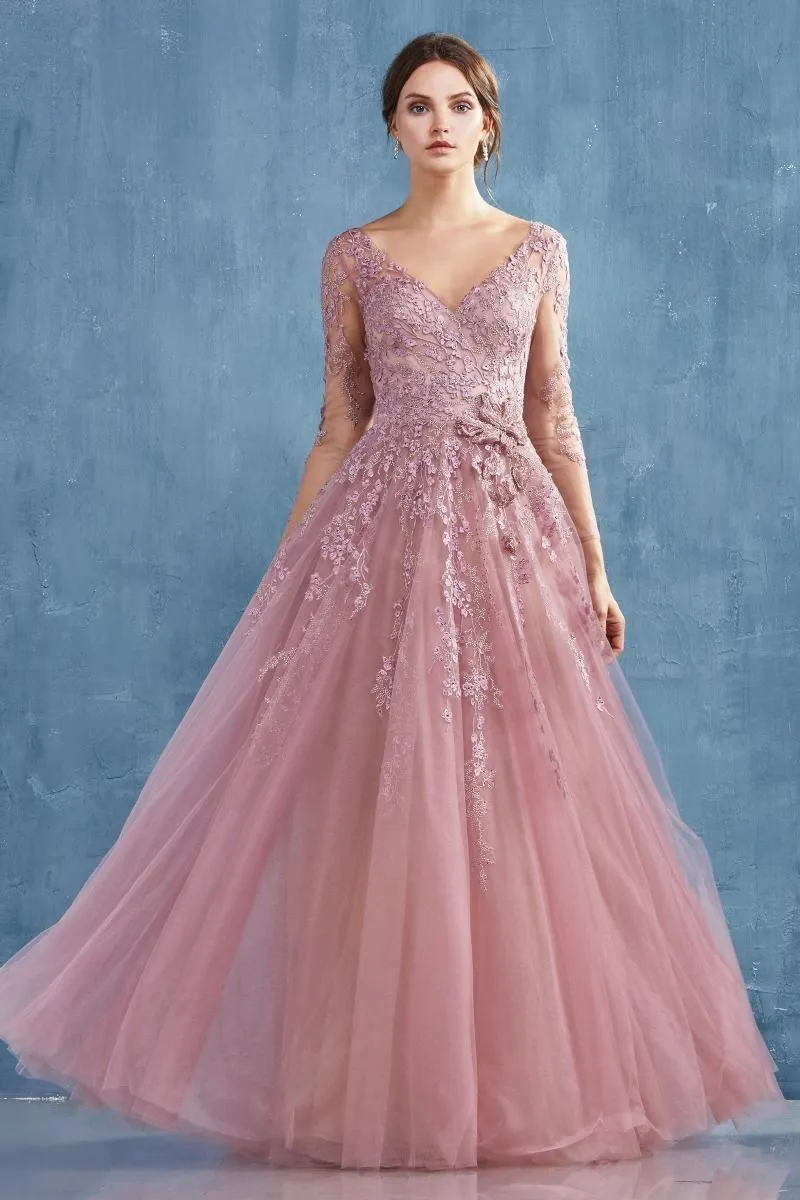 Long Sleeve A-Line Zoe Gown