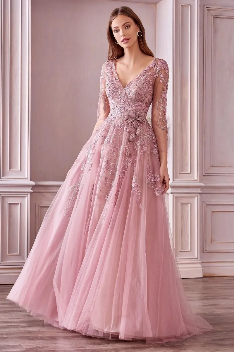 Long Sleeve A-Line Zoe Gown