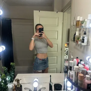 NWOT Pacsun Skirt