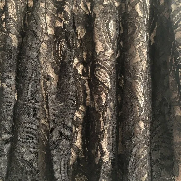 NWT Rachel Roy A-Line lace skirt.