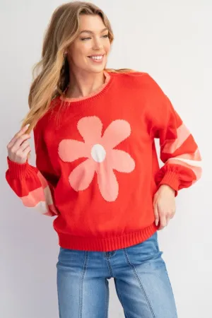 Plus Little things Sweater