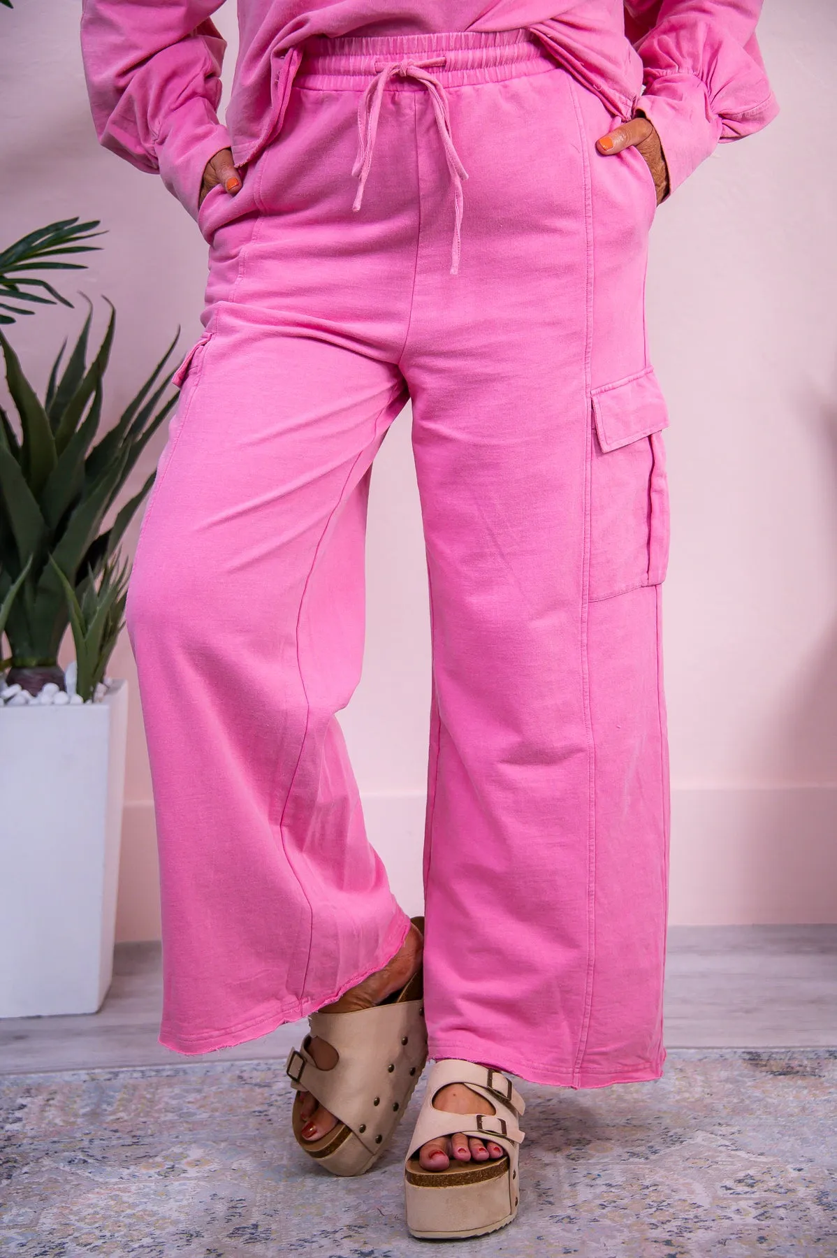 Proud Of The Progress Berry Solid Cargo Pants - PNT1662BE