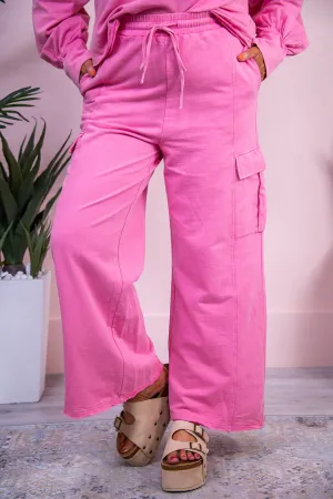 Proud Of The Progress Berry Solid Cargo Pants - PNT1662BE