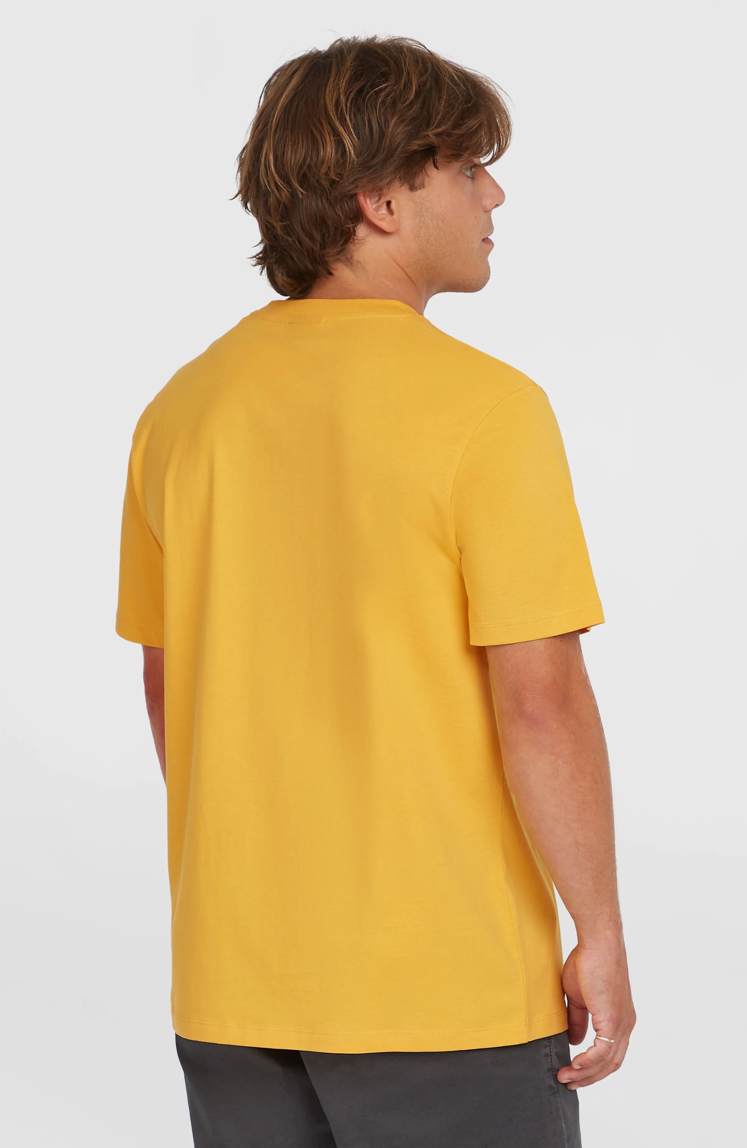 Small Logo T-Shirt | Golden Haze