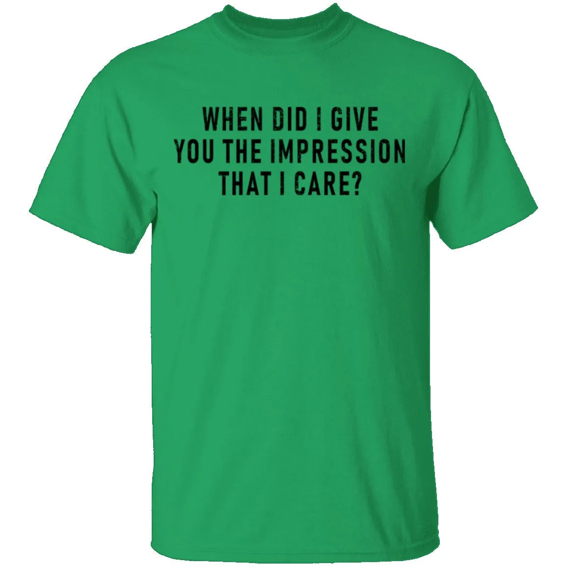 When Did I Give You The Impression That I Care T-Shirt