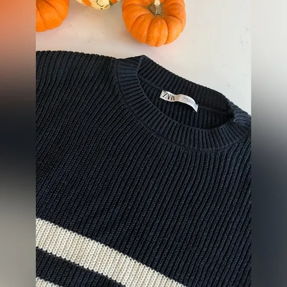 Zara Striped Knit Sweater