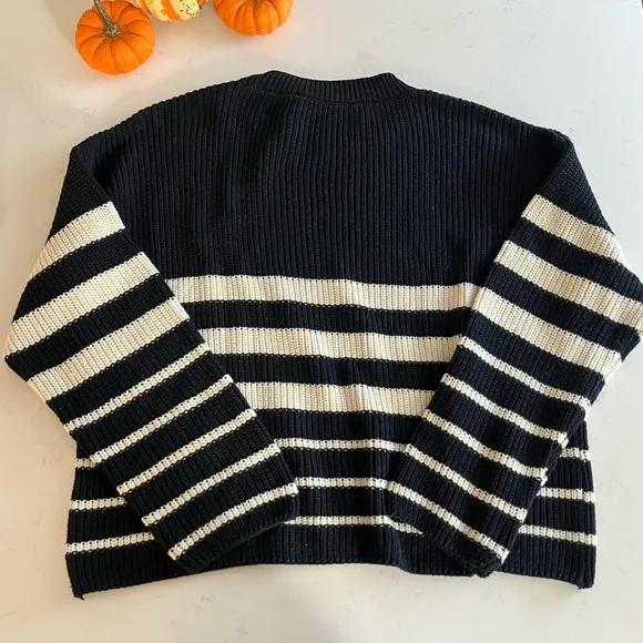 Zara Striped Knit Sweater